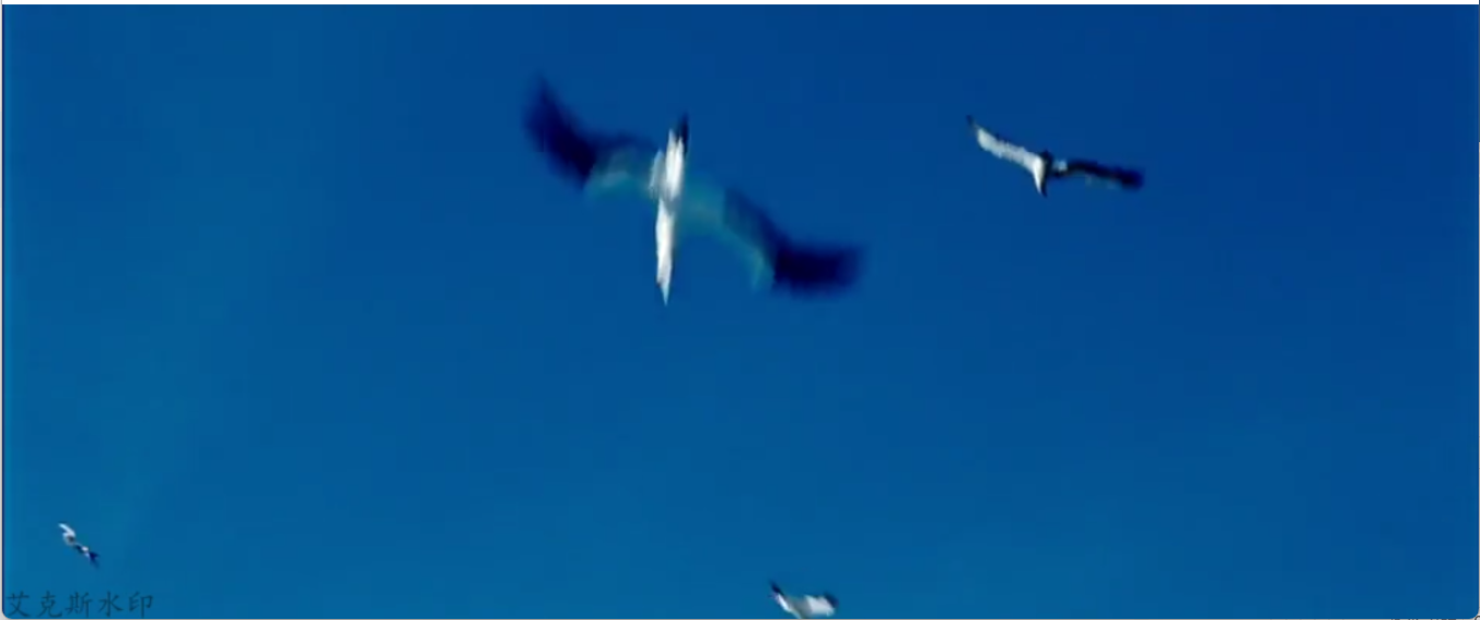 image-20250308223742005